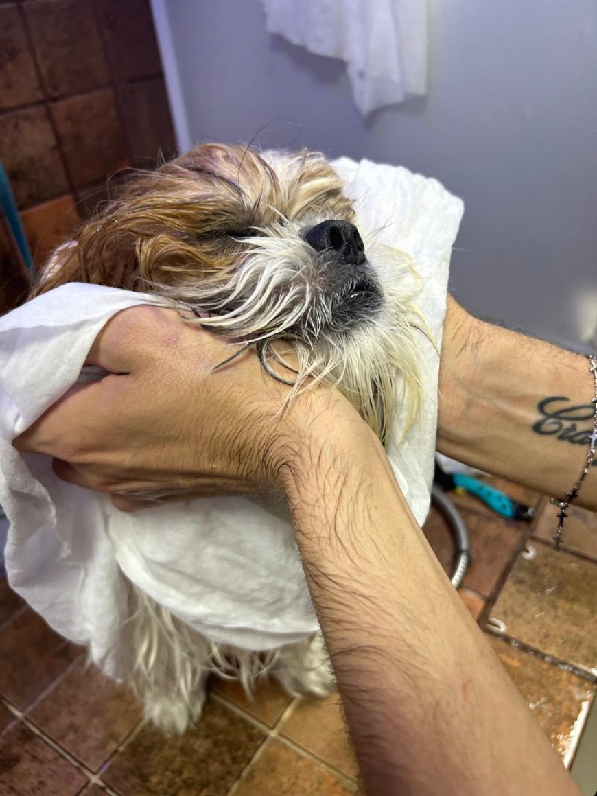REVOLUÇÃO TERAPÉUTICA NO BANHO PARA PETS