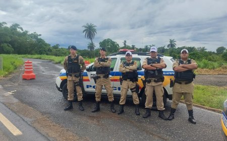 46º BPM. Polícia Militar de Minas Gerais Executa 9ª Edição da Operação Força Total