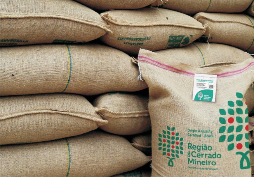 Região do Cerrado Mineiro avança no mercado global com leilão virtual
