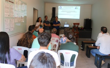 ESTUDO SOBRE A ESTIMATIVA DE CARBONO NO SOLO