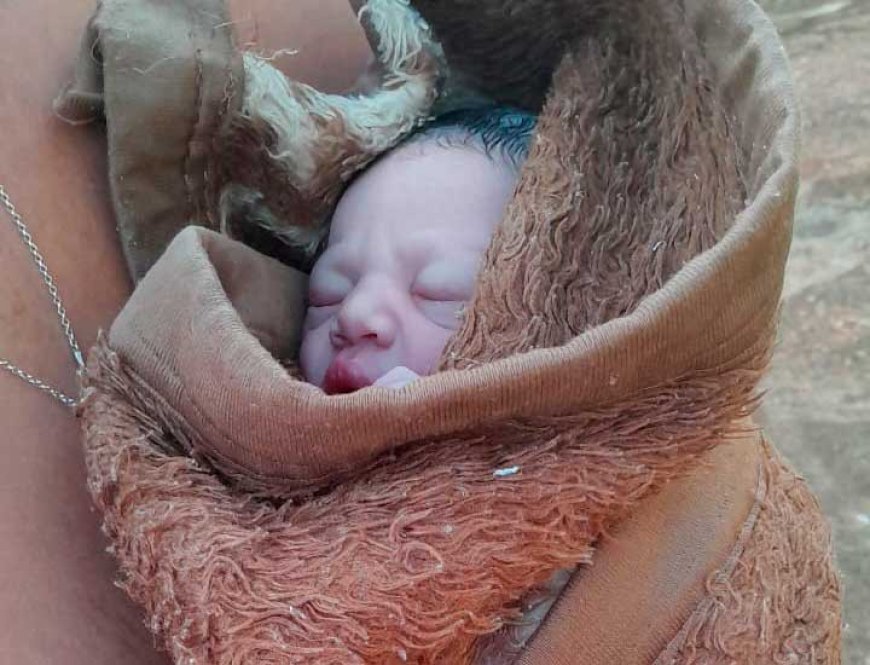 SAMU RESGATA RECÉM-NASCIDA ABANDONADA AINDA COM PLACENTA EM PORTA DE PADARIA
