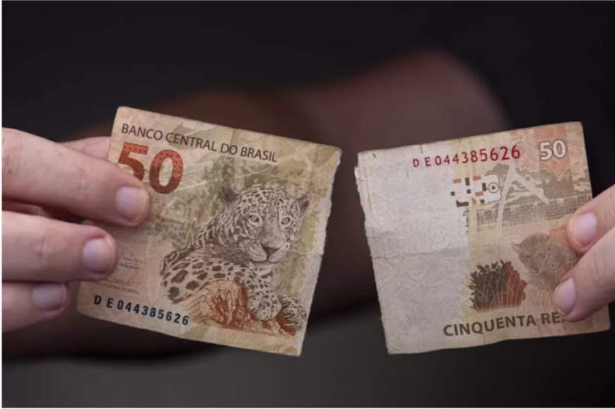 Rasgar dinheiro é crime? Advogado explica