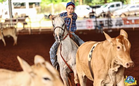 PATROCINENSE HEITOR DOS REIS CAIXETA É CAMPEÃO DO TEAM PENNING EM BARRETOS