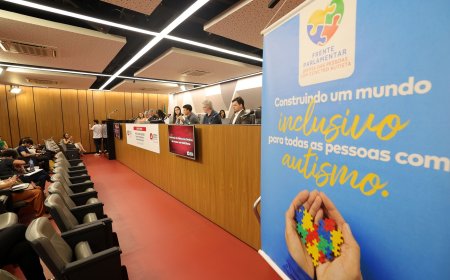 DEPUTADA ESTADUAL MARIA CLARA MARRA DESTACA DESAFIOS NA INCLUSÃO DE AUTISTAS EM MINAS GERAIS