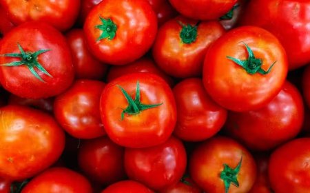 PREÇO DO TOMATE SOBRE 32,67% EM ABRIL