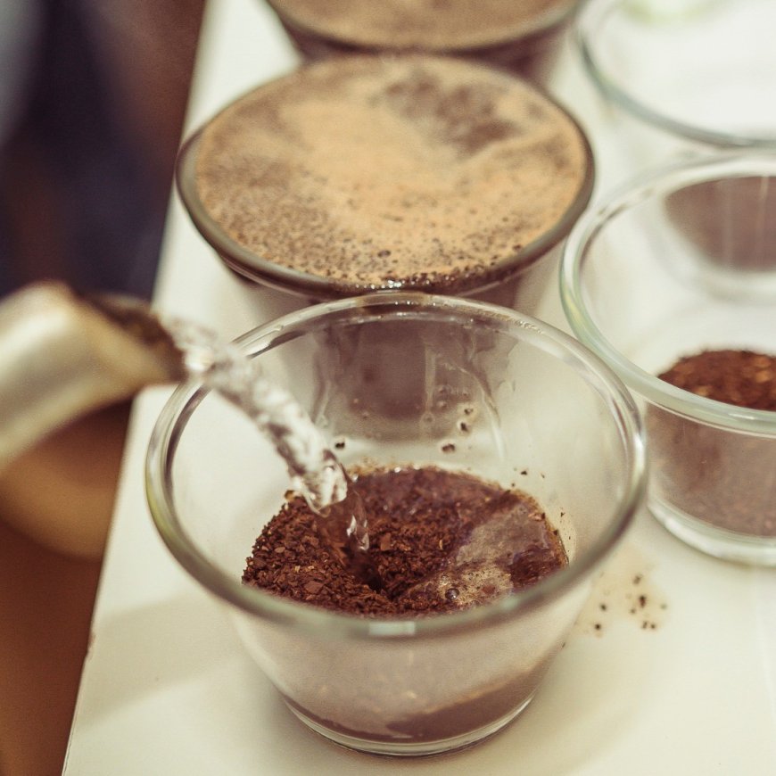 MAPEAMENTO DE QUALIDADE DE CAFÉ AUXILIA CAFEICULTORES NA IDENTIFICAÇÃO DE CAFÉS ESPECIAIS NO CERRADO MINEIRO