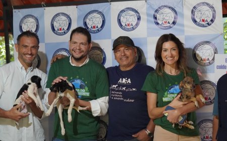 DEPUTADA FEDERAL GREYCE ELIAS PARTICIPA DE AGENDAS EM PATROCÍNIO E NO ALTO PARANAÍBA