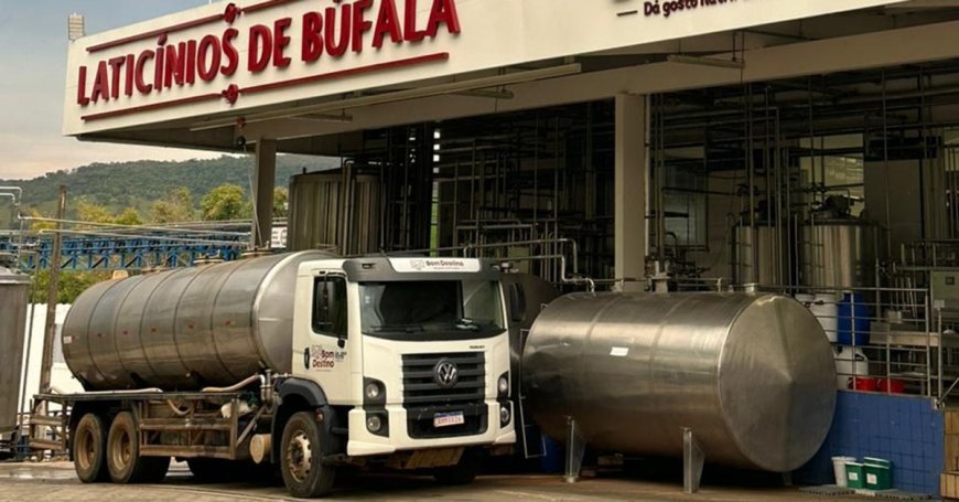 MERCADO JÁ TEM PRIMEIRO LOTE EM PÓ DE BÚFALA DO PAÍS