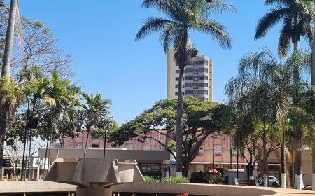 PRAÇA SANTA LUZIA E O DESAFIO DO CUIDADO PÚBLICO E ANIMAL