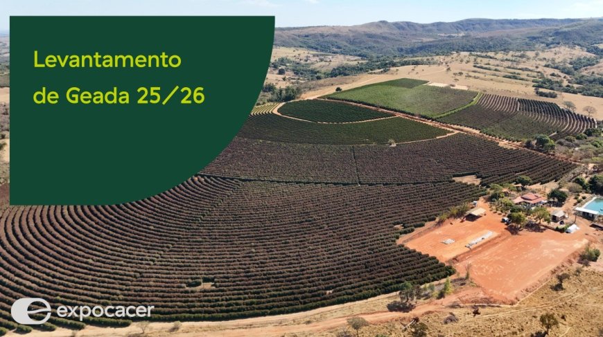 LEVANTAMENTO PRELIMINAR DA EXPOCACER APONTA 412 MIL SACAS DE CAFÉ COMPROMETIDAS NO CERRADO MINEIRO