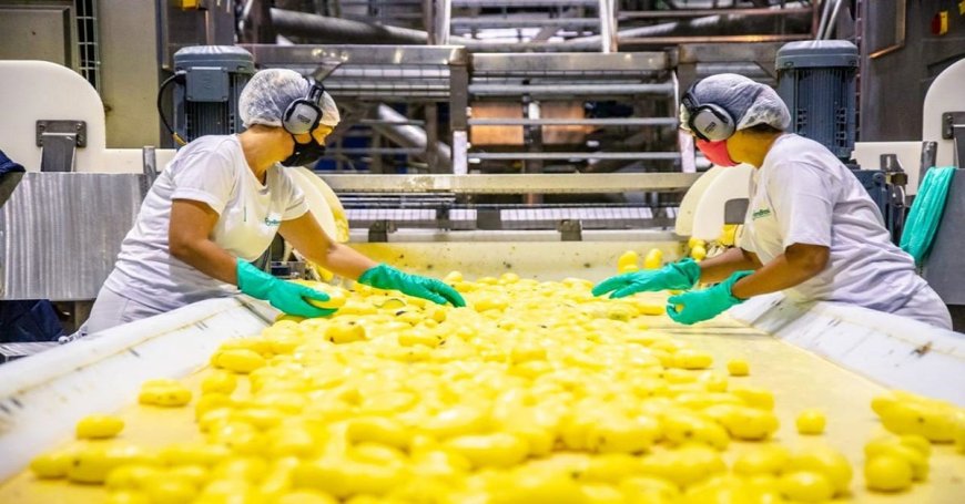 BEM BRASIL INVESTE R$ 45 MILHÕES EM PERDIZES/MG