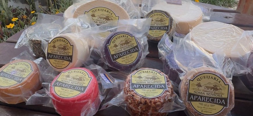 PRODUTORES DE PATROCÍNIO SE DESTACAM E AVANÇAM PARA O ESTADUAL DO QUEIJO MINAS ARTESANAL