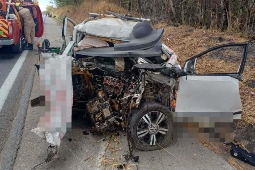 PROTETORA DE ANIMAIS DO DF MORRE EM GRAVE ACIDENTE NA BR-040