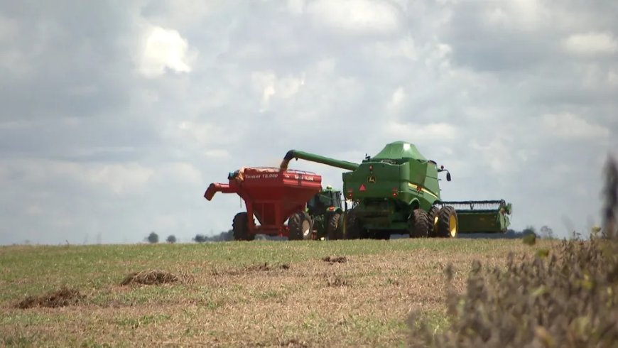 CONHEÇA AS CIDADES MINEIRAS QUE SÃO AS MAIORES PRODUTORAS DE CANA-DE-AÇÚCAR, CAFÉ, BATATA, ALHO E ABACATE NO BRASIL