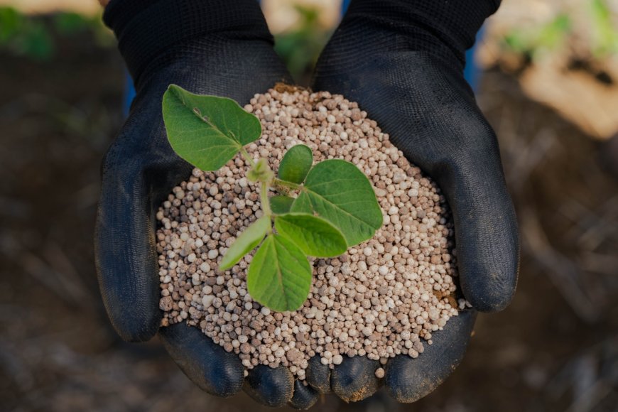 EUROCHEM IMPULSIONA PRODUTIVIDADE EM SAFRAS DE MILHO E SOJA COM FERTILIZANTES PREMIUM