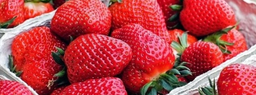 PARA ALÉM DO CAFÉ COM LEITE: MORANGO, BATATA, TOMATE, ALHO E OUTRAS CULTURAS MINEIRAS BATEM RECORDE NO PAÍS