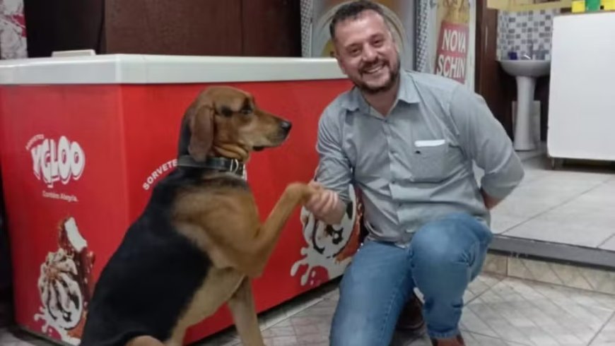 CACHORRO QUE PEDIU ABRAÇO A EMPRESÁRIO EM PATROCÍNIO CHORA QUANDO TENTAM ADOTÁ-LO: 'QUEM SABE UM DIA'