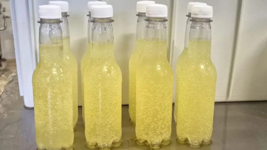 ‘REFRIGERANTE DO BEM': BEBIDA MINEIRA DE SORO DE LEITE PROMETE REVOLUCIONAR O MERCADO