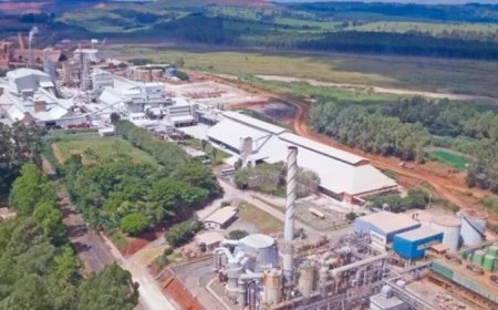 MOSAIC ANUNCIA PARALISAÇÃO DAS INSTALAÇÕES DE ARAXÁ E PATROCÍNIO E BUSCA VENDER ATIVOS DE ARAXÁ