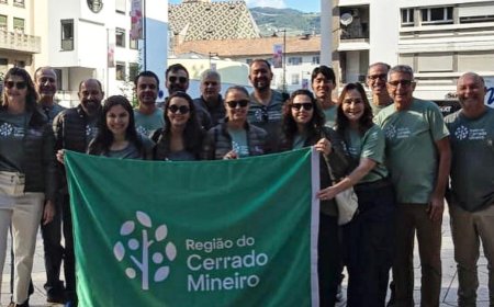 CERRADO MINEIRO NO MAIS ALTO NÍVEL DO CAFÉ MUNDIAL          