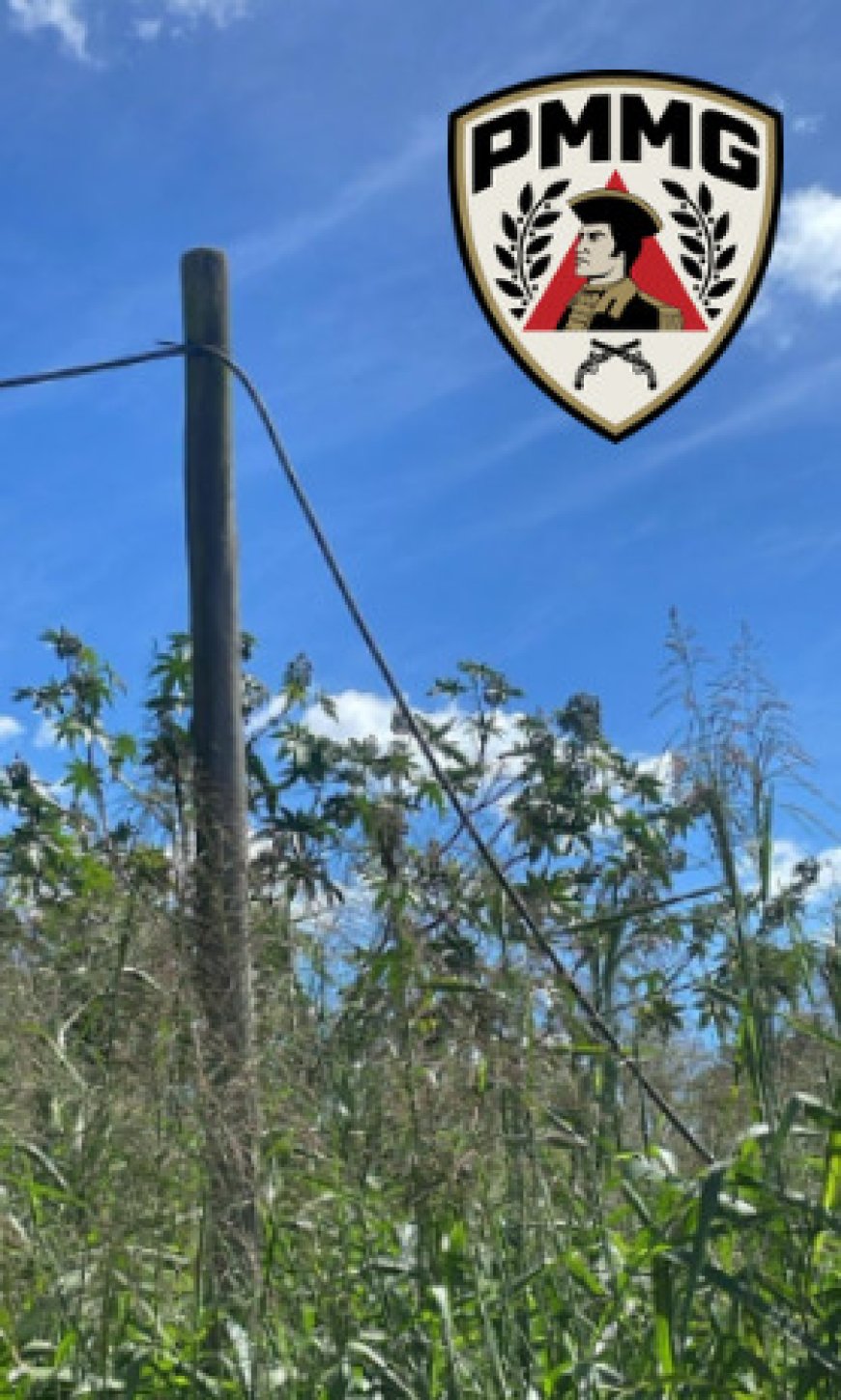 POLÍCIA MILITAR PRENDE AUTOR DE FURTO DE FIOS ELÉTRICOS EM ZONA RURAL DE PATROCÍNIO