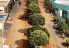 INICIADA OBRAS DE MELHORIA VIÁRIA NA AVENIDA DOS BÁLSAMOS NO BAIRRO MORADA NOVA