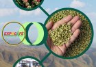 “CAFÉ, NEGÓCIOS E OPORTUNIDADES: A TEMPORADA COMEÇOU"