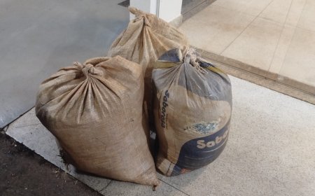 POLÍCIA MILITAR PRENDE DOIS AUTORES POR FURTO DURANTE AÇÃO DA PATRULHA RURAL EM SALITRE DE MINAS