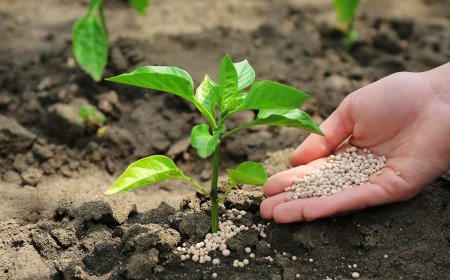 CRISE GLOBAL E ENTRAVES AMEAÇAM POLO DE FERTILIZANTES EM ARAXÁ E PATROCÍNIO