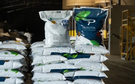 EXPOCACER VENDE PRIMEIRO LOTE DE CAFÉ ESPECIAL DESCAFEINADO AO JAPÃO