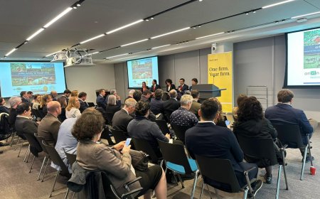 REGIÃO DO CERRADO MINEIRO REPRESENTA O BRASIL EM ENCONTRO GLOBAL SOBRE INDICAÇÕES GEOGRÁFICAS EM LONDRES