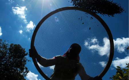 CNC COMEMORA APROVAÇÃO DO PL DOS SAFRISTAS E DESTACA AVANÇO PARA SETOR