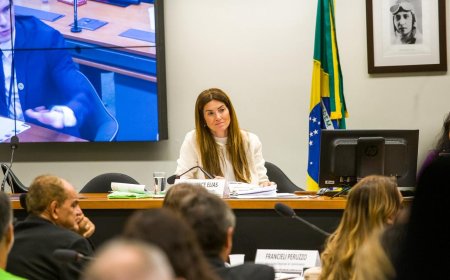 DEPUTADA GREYCE ELIAS PRESIDE COMISSÃO PARA DEBATER SOBRE REGRAS PARA PROTEÇÃO COLETIVA DE CAMINHÕES E CARGAS