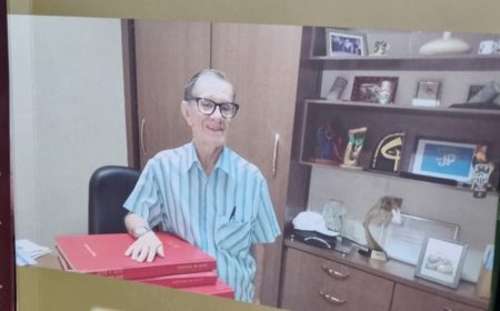 O GRANDE TESOURO DE JOAQUIM CORREIA  