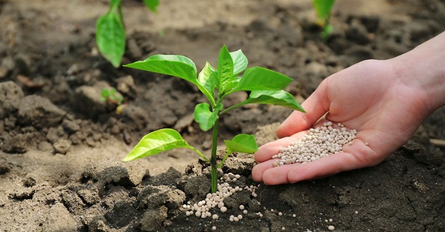 CRISE GLOBAL E ENTRAVES AMEAÇAM POLO DE FERTILIZANTES EM ARAXÁ E PATROCÍNIO