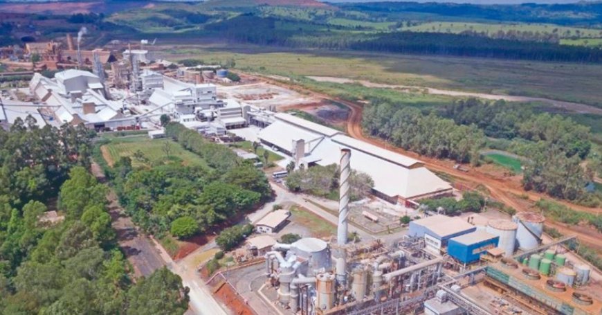 MOSAIC FERTILIZANTES TEM PREJUÍZO DE US$ 422 MILHÕES COM PARALISAÇÕES EM ARAXÁ E PATROCÍNIO