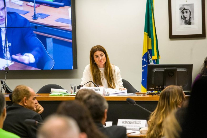 DEPUTADA GREYCE ELIAS PRESIDE COMISSÃO PARA DEBATER SOBRE REGRAS PARA PROTEÇÃO COLETIVA DE CAMINHÕES E CARGAS