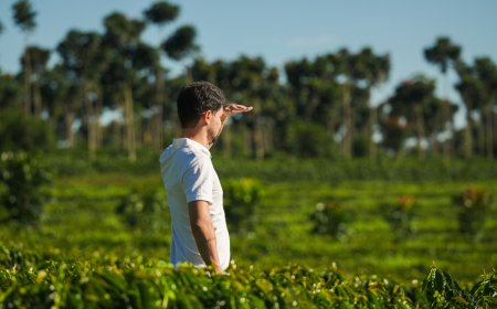 REGIÃO DO CERRADO MINEIRO LANÇA INTERNACIONALMENTE NOVA ESTRATÉGIA DE MARCA NA WORLD OF COFFEE BRUSSELS 2026