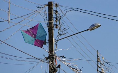 PIPAS CAUSAM MAIS DE 3,5 MIL INTERRUPÇÕES DE ENERGIA EM MINAS GERAIS 