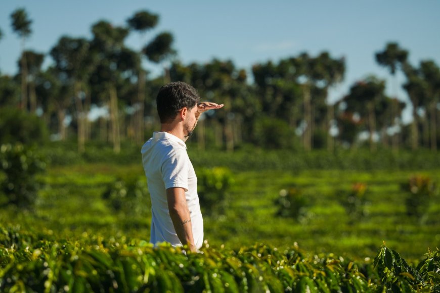 REGIÃO DO CERRADO MINEIRO LANÇA INTERNACIONALMENTE NOVA ESTRATÉGIA DE MARCA NA WORLD OF COFFEE BRUSSELS 2026