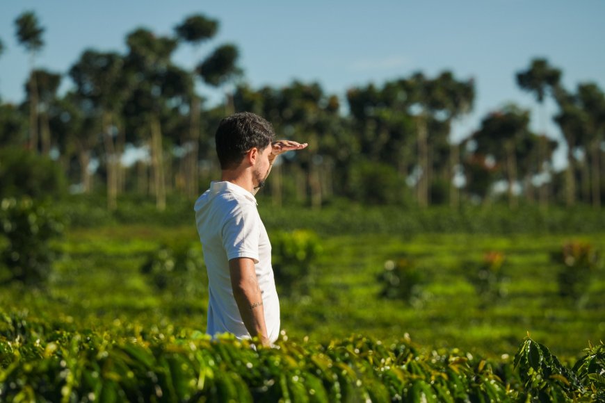 REGIÃO DO CERRADO MINEIRO LANÇA INTERNACIONALMENTE NOVA ESTRATÉGIA DE MARCA NA WORLD OF COFFEE BRUSSELS 2026