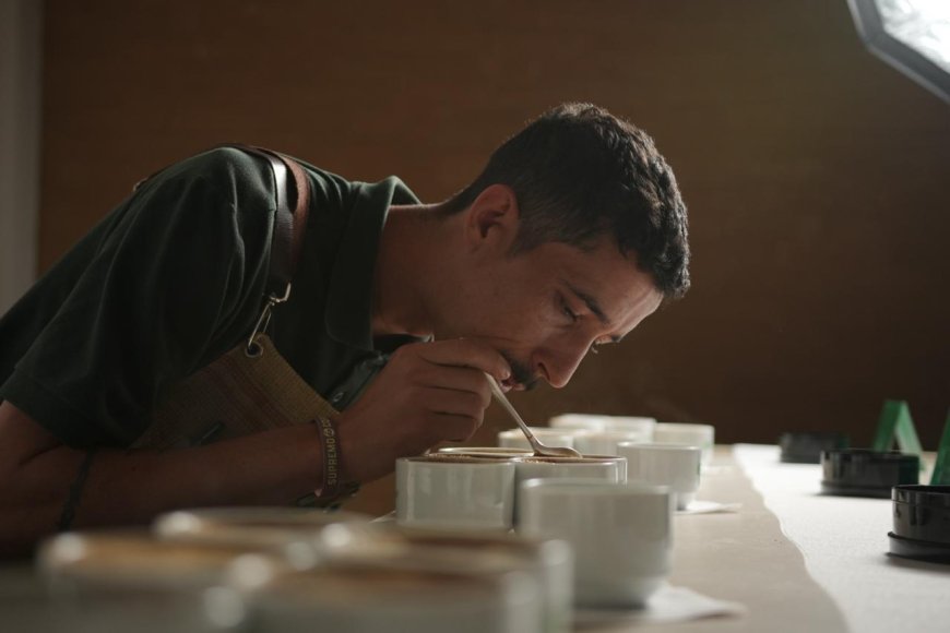 MAPEAMENTO DE QUALIDADE DE CAFÉ DA EXPOCACER 2026 FORTALECE PRODUÇÃO DE CAFÉS ESPECIAIS NO CERRADO MINEIRO