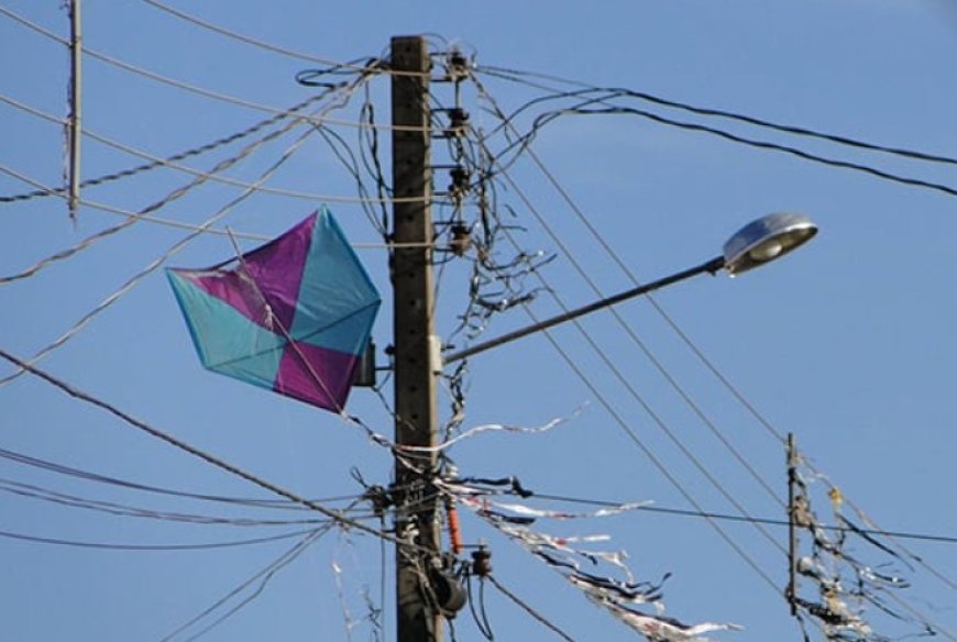 PIPAS CAUSAM MAIS DE 3,5 MIL INTERRUPÇÕES DE ENERGIA EM MINAS GERAIS 