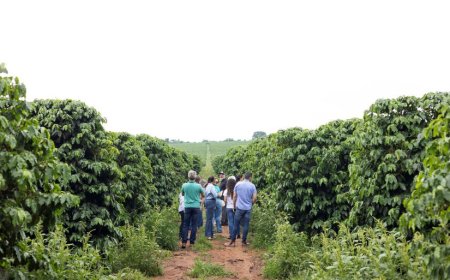 EMPREENDEDORES CRIAM ASSOCIAÇÃO PARA FORTALECER A ROTA DO CAFÉ DO CERRADO MINEIRO E IMPULSIONAR O TURISMO