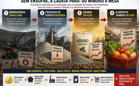 SEM ENXOFRE, MINERADORAS PARALISAM E ADUBO PODE SER VILÃO DA PRODUÇÃO DE ALIMENTOS