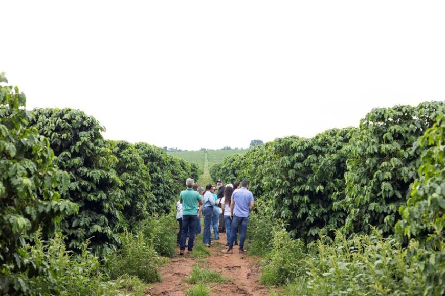 EMPREENDEDORES CRIAM ASSOCIAÇÃO PARA FORTALECER A ROTA DO CAFÉ DO CERRADO MINEIRO E IMPULSIONAR O TURISMO